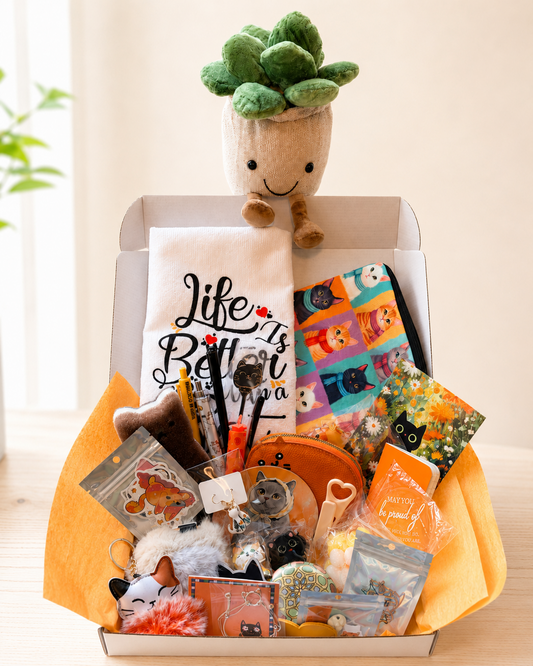 Curated cat lover gift box with 40 plus orange and black cat themed goodies