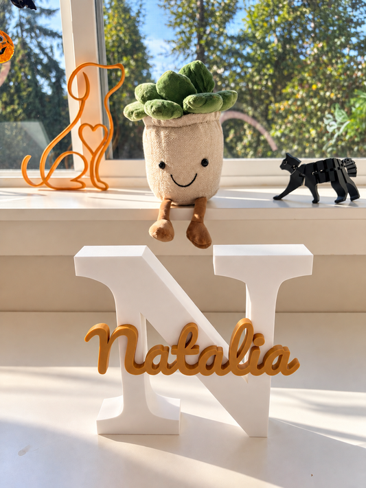 Personalized Initial & Name Decor