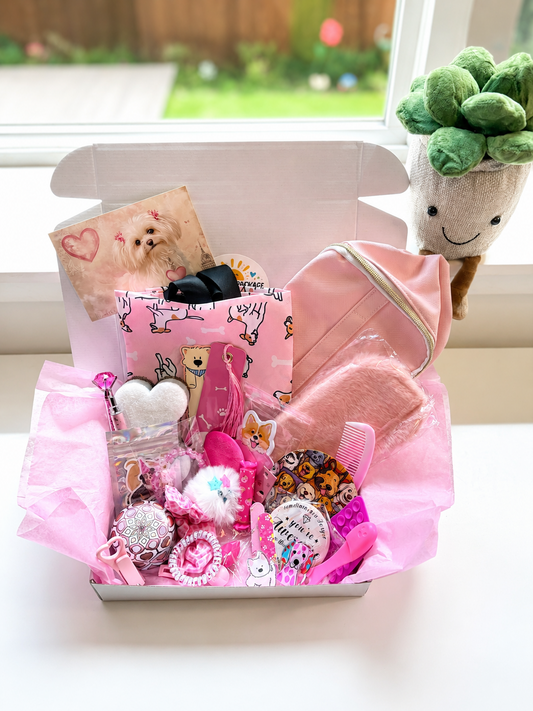 Curated Dog Cozy Critter Box