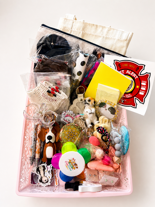 🐶 Dog-Themed Mystery Box 🐶